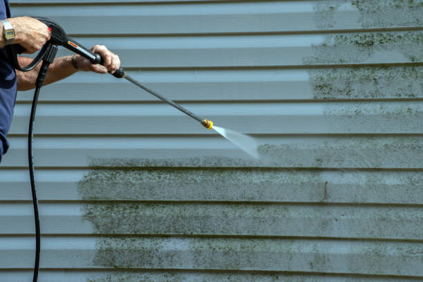 Best Residential Exterior Washing  in Lindsay, TX